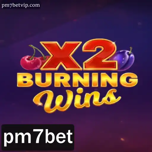 Explorando o Universo Premiado de BurningWinsX2